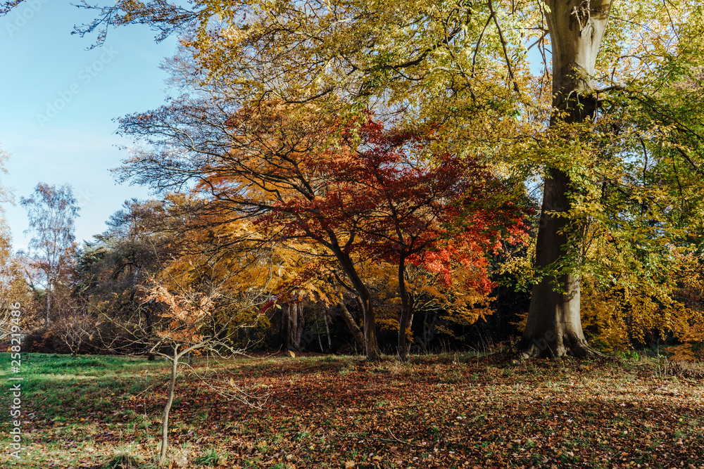 Beautiful autumn garden. Hever Castle, Kent, England. Beautiful autumn garden. Hever Castle, Kent, England.