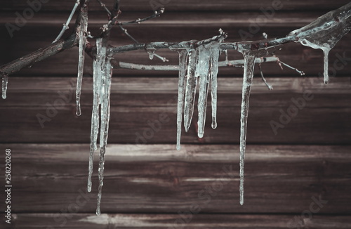 icicles on a branch on a wooden house wall background spring background © Konstantin
