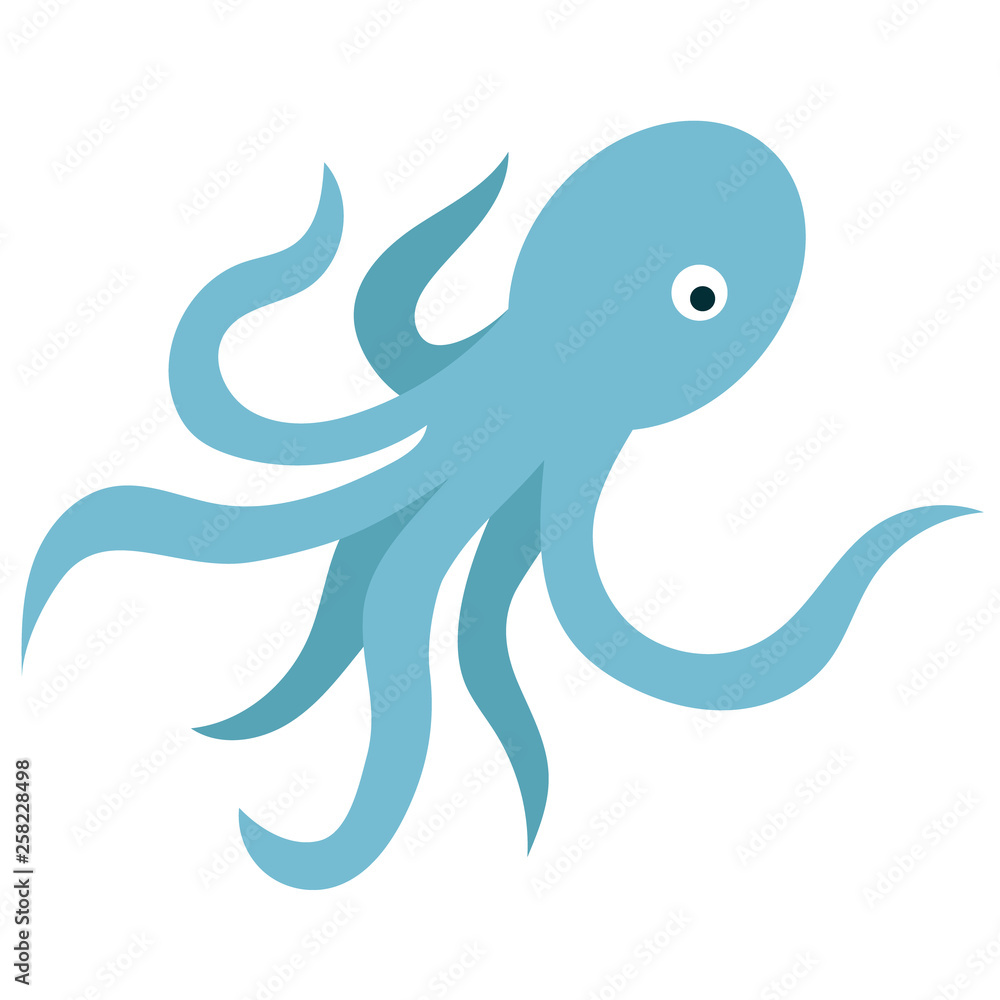 octopus flat illustration on white octopus flat illustration on white