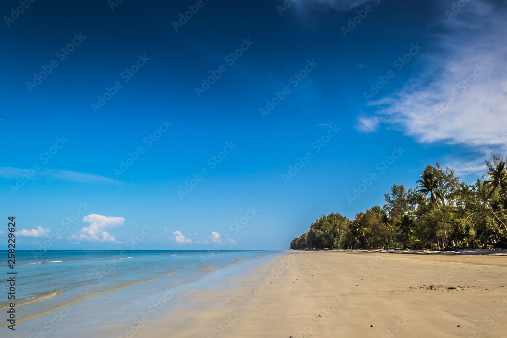 beach and sea