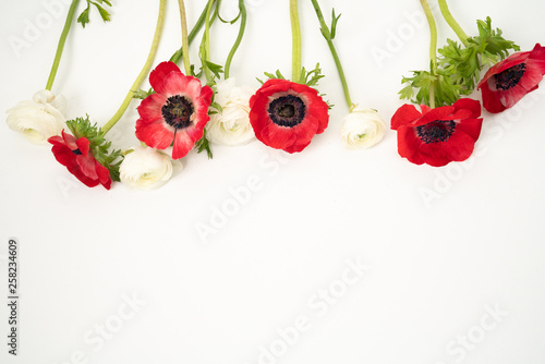 Red Anemone and white ranunculus floral flat lay background