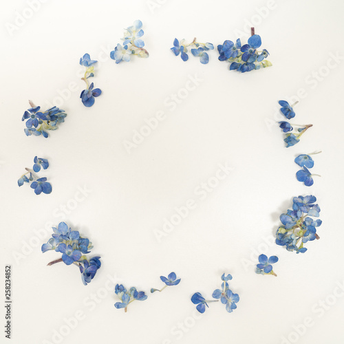 Blue Hydrangea circle frame flat lay on white background