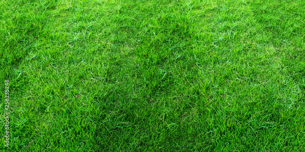 Fototapeta premium Green grass field pattern background for soccer and football sports. Green lawn pattern texture background.