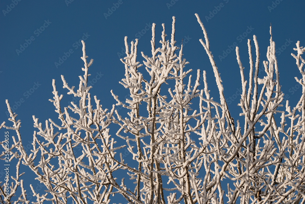 A amazing Snow landscapes of Lapland, Views of Lapland A amazing Snow landscapes of Lapland, Views of Lapland
