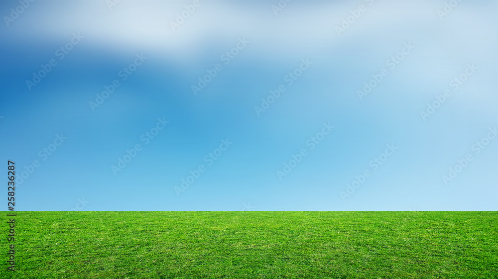 Landscape of grass field and green environment park use as natural background. Field of green grass and sky.