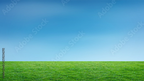 Landscape of grass field and green environment park use as natural background. Field of green grass and sky.