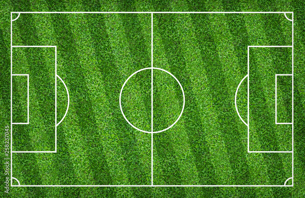 Football field or soccer field for background. Green lawn court for create game. Football field or soccer field for background. Green lawn court for create game.