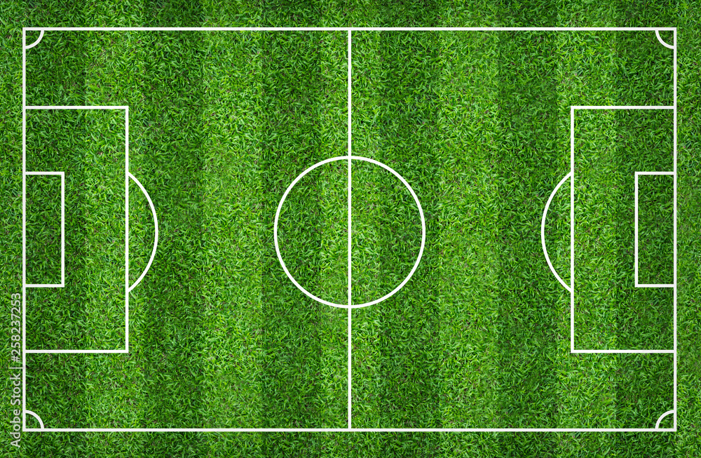 Football field or soccer field for background. Green lawn court for create game. Football field or soccer field for background. Green lawn court for create game.