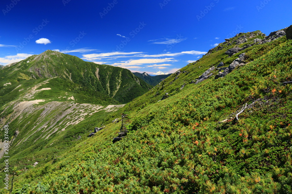 Naklejka premium 南アルプス光岳への道 縦走路から見る南アルプス南部の山々 茶臼岳稜線から上河内岳