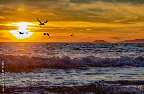 beach, vacation, summer, holiday, surf, water, tropical, surfing, background, travel, tourism, sea, ocean, sunset, surfer, clouds, fun, people, sun, caribbean, landscape, relax, sand, paradise, shore,