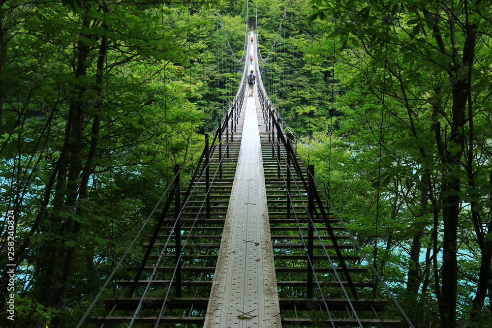 Fototapeta premium Droga do Minami Alps Hikaridake (tylko Tekari) Jezioro Hatanagi i most wiszący Hatanagi