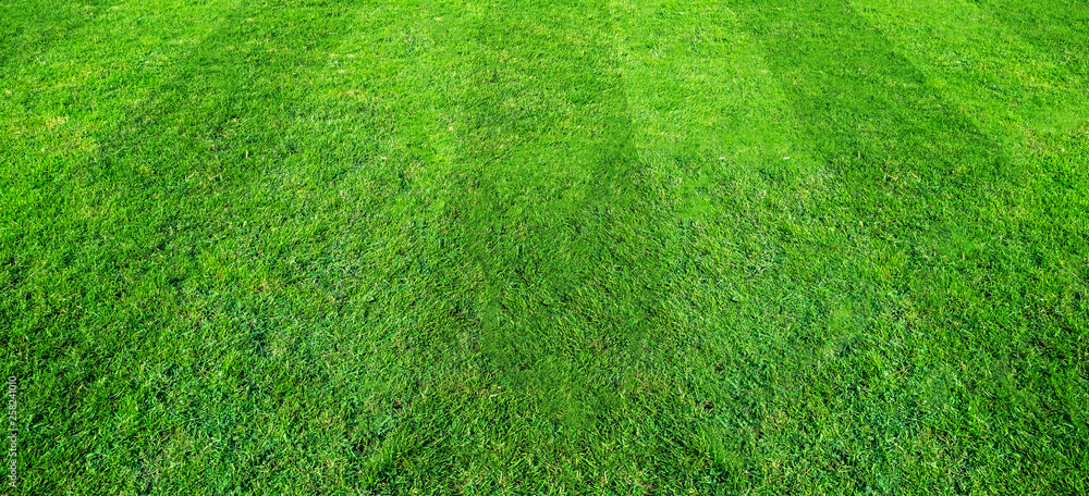 Green grass field pattern background for soccer and football sports. Green lawn texture background. Green grass field pattern background for soccer and football sports. Green lawn texture background.