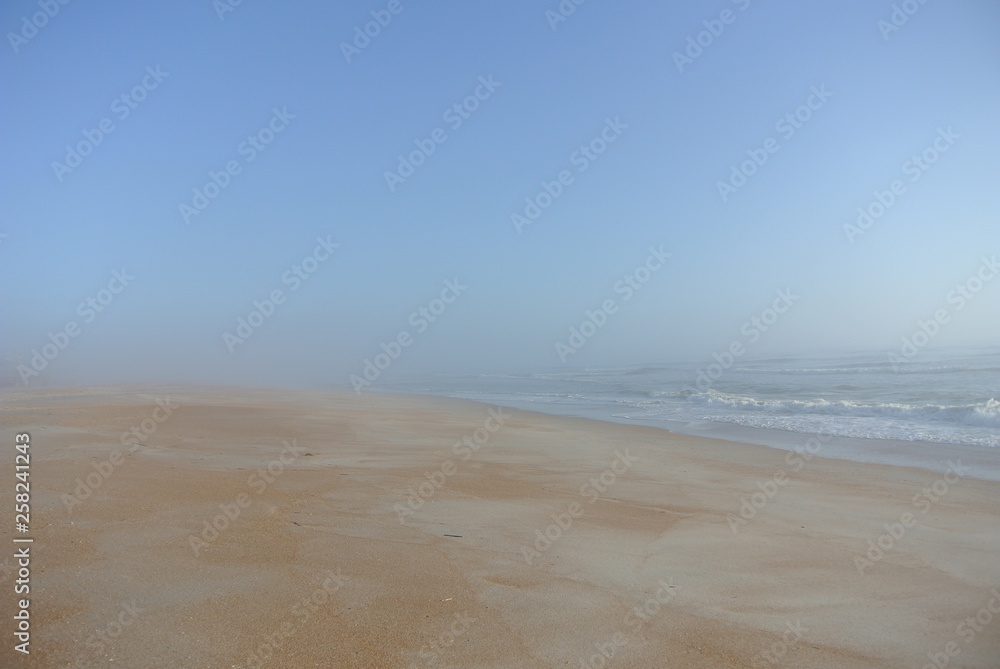 Beach in morning fog