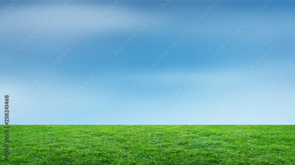 Obraz premium Landscape of grass field and green environment park use as natural background.