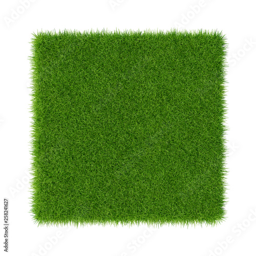 Green grass. Natural texture background. fresh spring green grass. Close-up.
