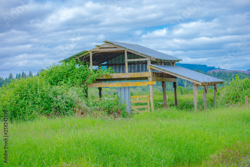 abandoned hayshack photo