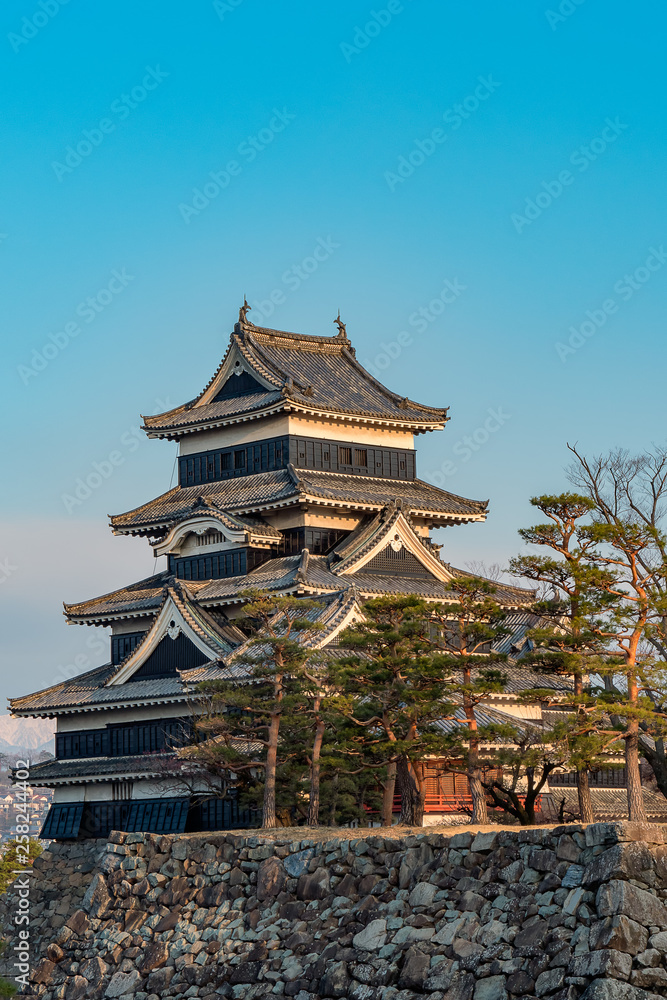 Fototapeta premium 長野県松本市 国宝 松本城