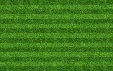 Green grass field background for soccer and football sports. Green lawn pattern and texture background. Close-up.