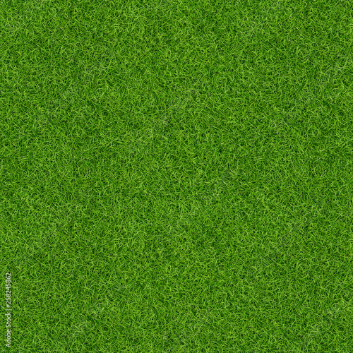 3D Render of green grass texture for background. Green lawn pattern and texture background. Close-up.