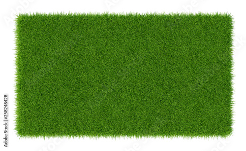 3D Render of green grass. Natural texture background. Fresh spring green grass. isolated on white background.
