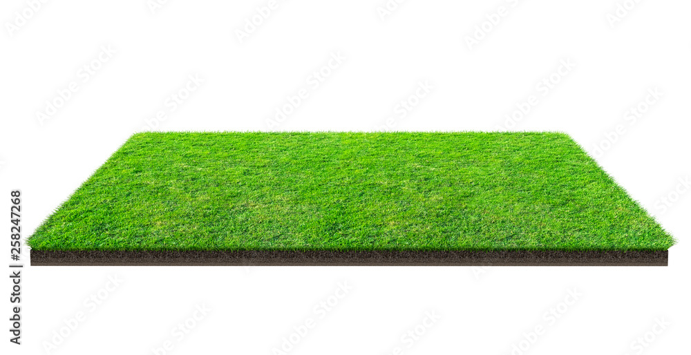 Naklejka Green grass field isolated on white with clipping path. Sports field. Summer team games.