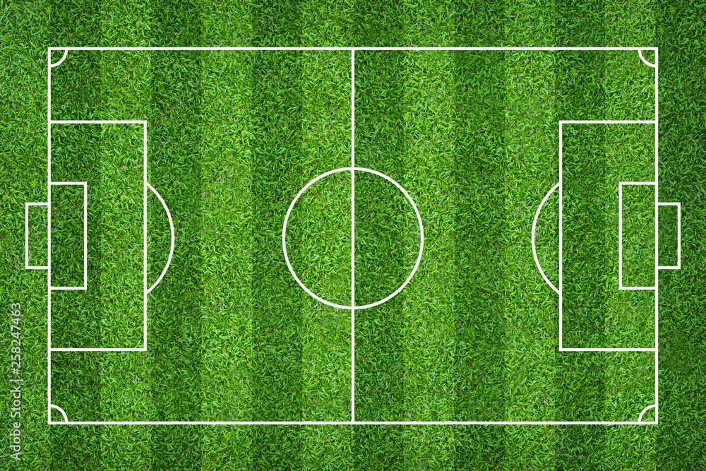 Football field or soccer field for background. Green lawn court for create game. Football field or soccer field for background. Green lawn court for create game.