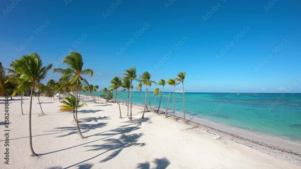 Palms island beach with white sand and blue Caribbean sea, Punta Cana the best beaches in the world, crystal Atlantic ocean, summer holidays vacation Palms island beach with white sand and blue Caribbean sea, Punta Cana the best beaches in the world, crystal Atlantic ocean, summer holidays vacation