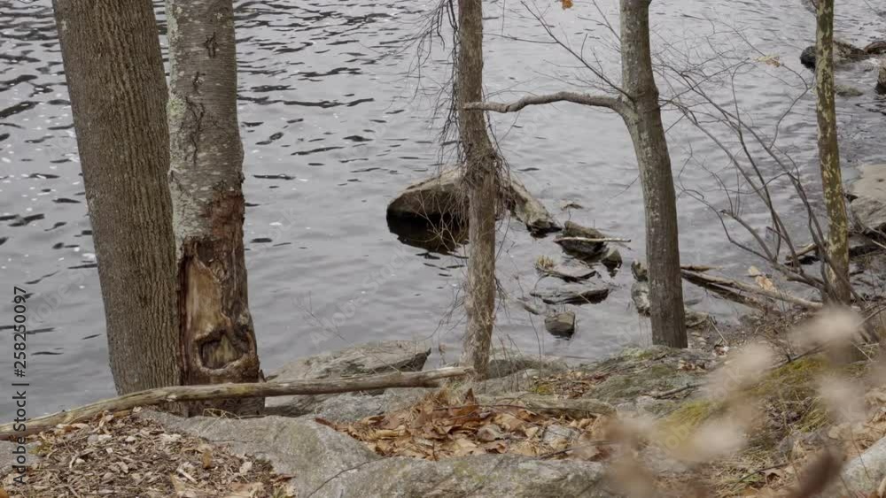 a river's edge view of deadwood and rocks along a rural stream with cold spring melt flowing with sky reflected in the water a river's edge view of deadwood and rocks along a rural stream with cold spring melt flowing with sky reflected in the water