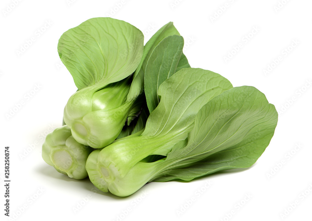 Pok Choi on white background Pok Choi on white background