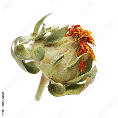 Canvas-taulu Dried safflower on white background