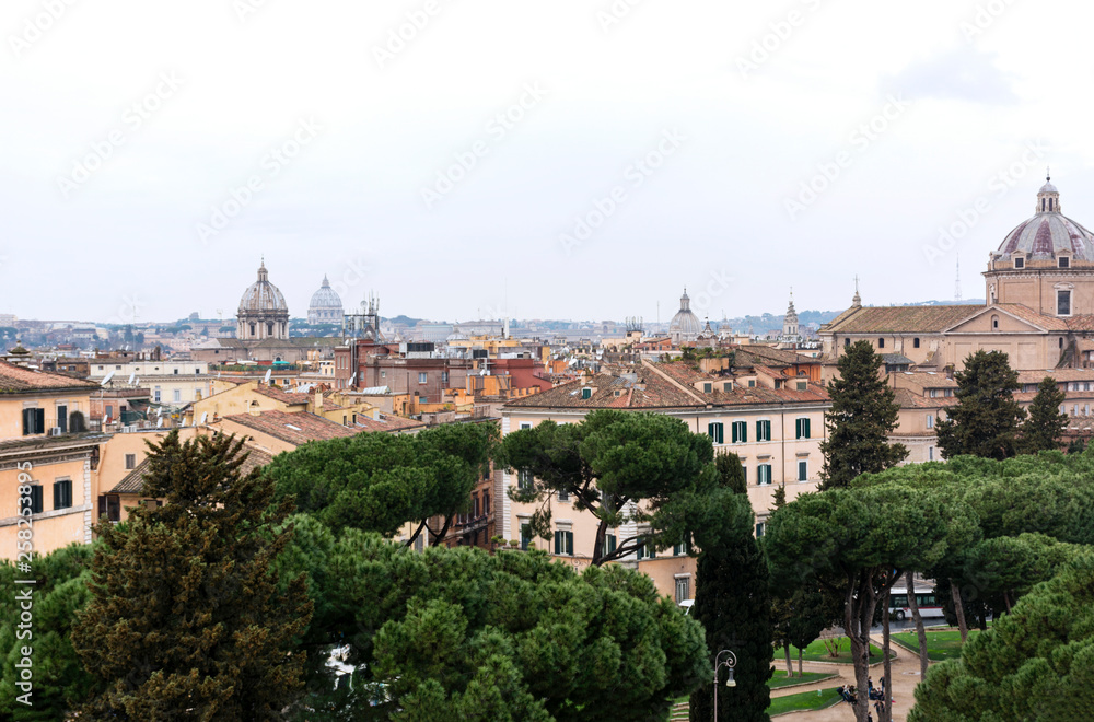 view of the city of Rome, buildings, roofs, pine on a rainy day