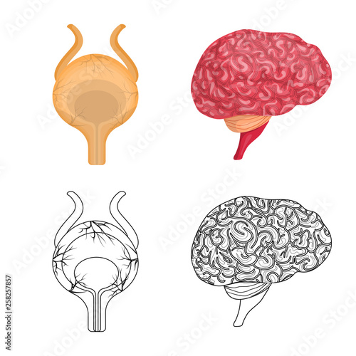 Vector illustration of body and human logo. Collection of body and medical vector icon for stock.