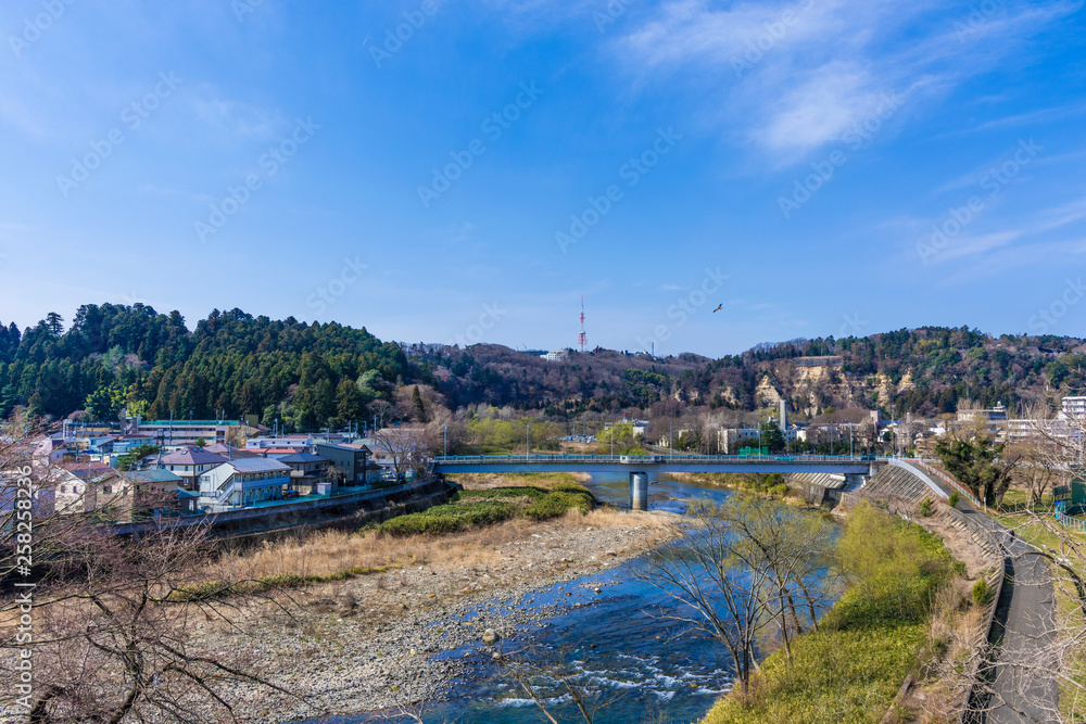 Fototapeta premium 杜の都仙台の評定河原橋