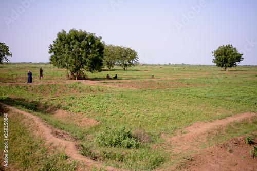 Landscape in Tribe Dasanech photo