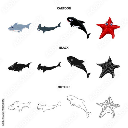Vector design of sea and animal icon. Set of sea and marine stock vector illustration.