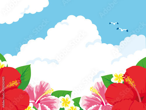 ハイビスカスと空　背景イラスト