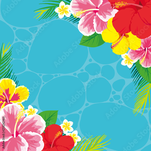 ハイビスカスと海のフレーム