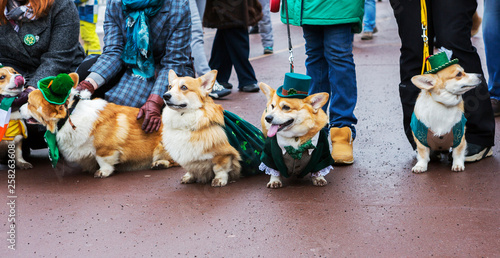 Moscow, Russia, St. Patrick's Day (Saint Patrick's Day) in 2019. March 17 is celebrated St. Patrick, he brought Christianity to the Irish land. This celebration in Ireland was originally a religious e