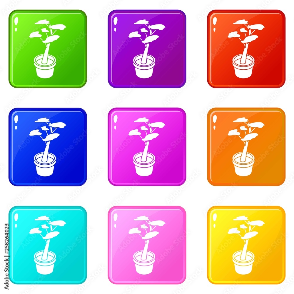 Office flower icons set 9 color collection isolated on white for any design Office flower icons set 9 color collection isolated on white for any design