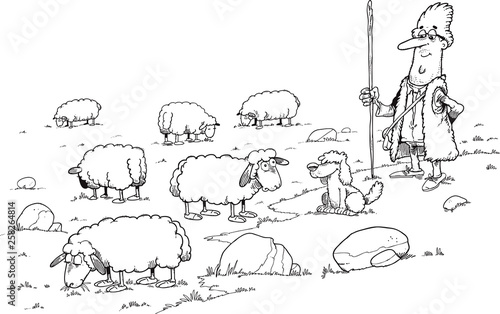 shepherd and herds of sheep