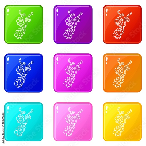 Micro vibrio icons set 9 color collection isolated on white for any design