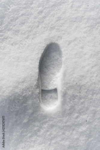 Wallpaper Mural footprint of a man in a boot in the snow Torontodigital.ca