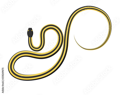 Curved slither ribbon or garter snake top view icon. Creeping yellow with black stripes snake flat vector isolated on white. Crawling nonpoisonous reptile illustration for wild nature concepts, zoo ad photo