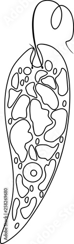 Coloring page with Euglena viridis
