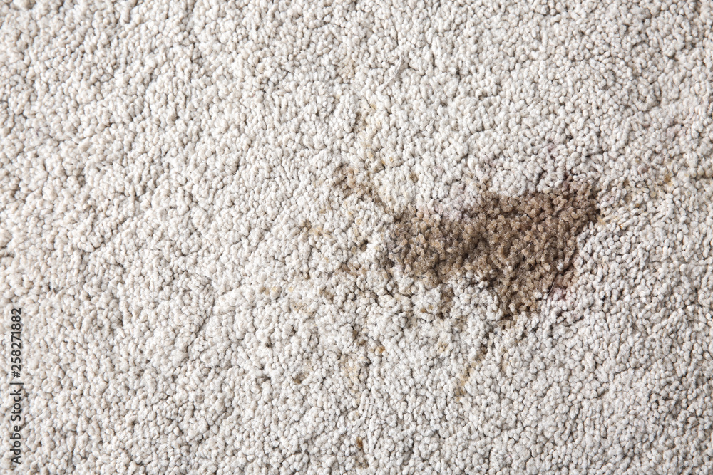 Coffee spilled on carpet Coffee spilled on carpet