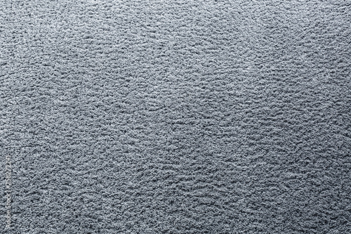 Fotografie Texture of soft carpet