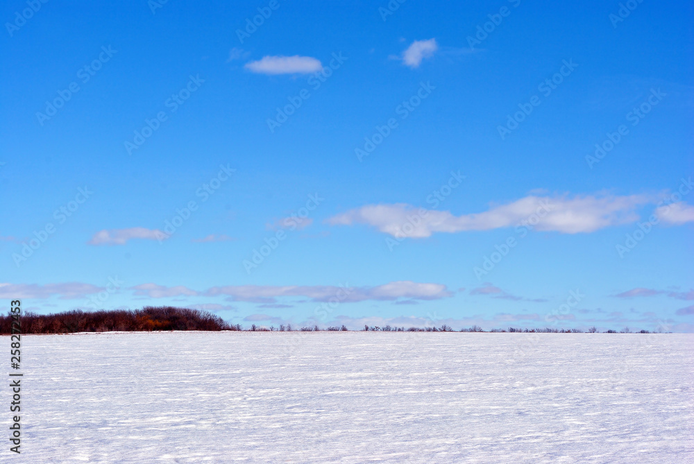 Field covered with snow, trees without leaves line on horizon, winter landscape, bright blue cloudy sky Field covered with snow, trees without leaves line on horizon, winter landscape, bright blue cloudy sky