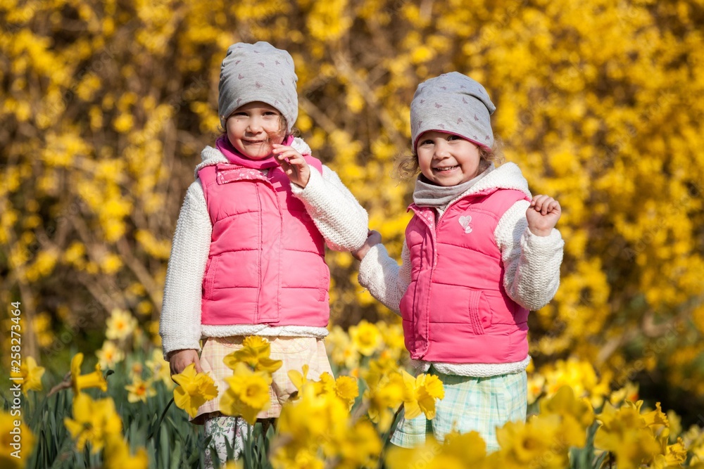 cute twin sisters, embrace on a background field with yellow flowers, happy cute and beautiful sisters having fun with yellow flowers in spring in park, cheerful holidays outdoors, healthy lifestyle cute twin sisters, embrace on a background field with yellow flowers, happy cute and beautiful sisters having fun with yellow flowers in spring in park, cheerful holidays outdoors, healthy lifestyle