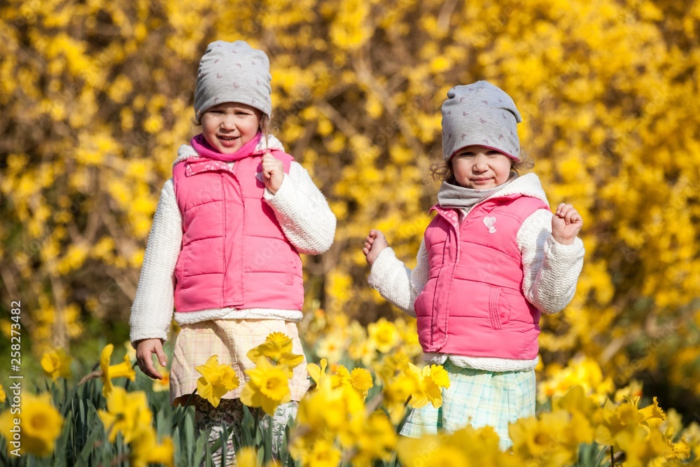 cute twin sisters, embrace on a background field with yellow flowers, happy cute and beautiful sisters having fun with yellow flowers in spring in park, cheerful holidays outdoors, healthy lifestyle cute twin sisters, embrace on a background field with yellow flowers, happy cute and beautiful sisters having fun with yellow flowers in spring in park, cheerful holidays outdoors, healthy lifestyle