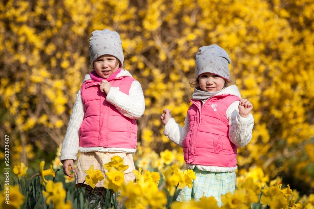 cute twin sisters, embrace on a background field with yellow flowers, happy cute and beautiful sisters having fun with yellow flowers in spring in park, cheerful holidays outdoors, healthy lifestyle cute twin sisters, embrace on a background field with yellow flowers, happy cute and beautiful sisters having fun with yellow flowers in spring in park, cheerful holidays outdoors, healthy lifestyle